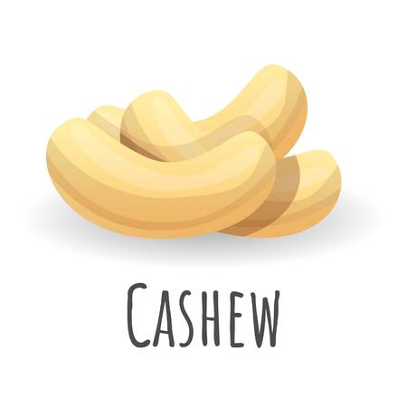 Cashew icon. Cartoon of cashew vector icon for web design isolated on white backgroundのイラスト素材