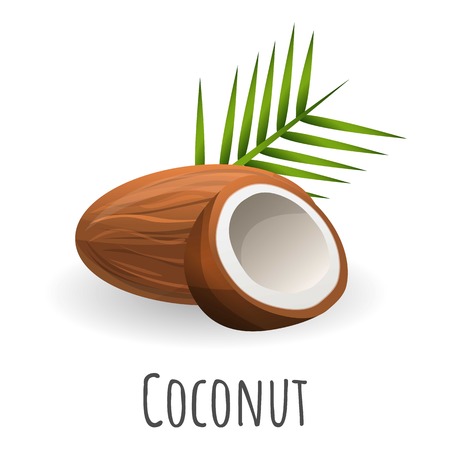 Coconut icon. Cartoon of coconut vector icon for web design isolated on white backgroundのイラスト素材