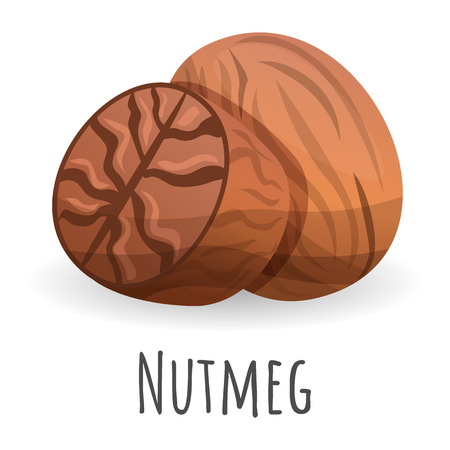 Nutmeg icon. Cartoon of nutmeg vector icon for web design isolated on white backgroundのイラスト素材