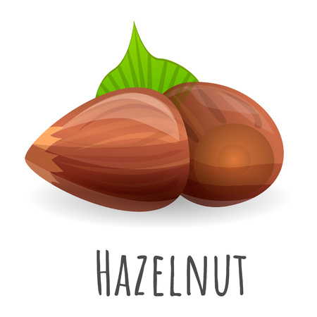 Hazelnut icon. Cartoon of hazelnut vector icon for web design isolated on white backgroundのイラスト素材
