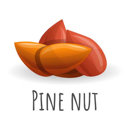 Pine nut icon. Cartoon of pine nut vector icon for web design isolated on white backgroundのイラスト素材