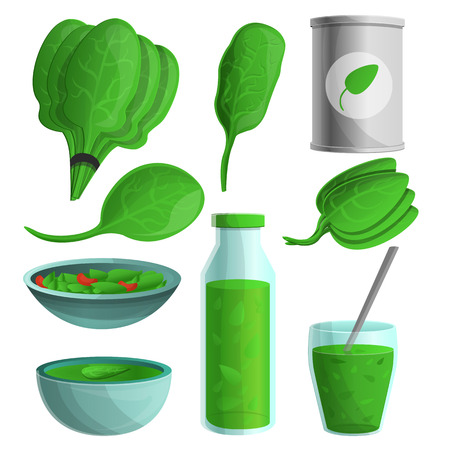 Spinach icon set. Cartoon set of spinach vector icons for web designのイラスト素材