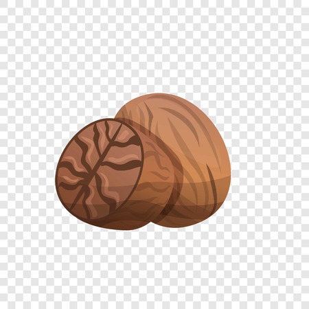 Nutmeg icon. Cartoon of nutmeg vector icon for web designのイラスト素材