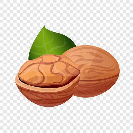 Eco walnut icon. Cartoon of eco walnut vector icon for web designのイラスト素材