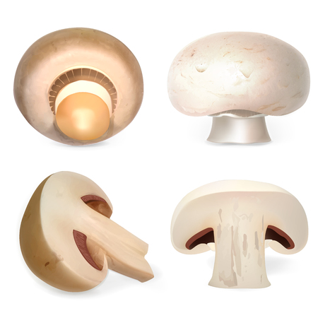 Champignon icon set. Realistic set of champignon vector icons for web design isolated on white backgroundのイラスト素材