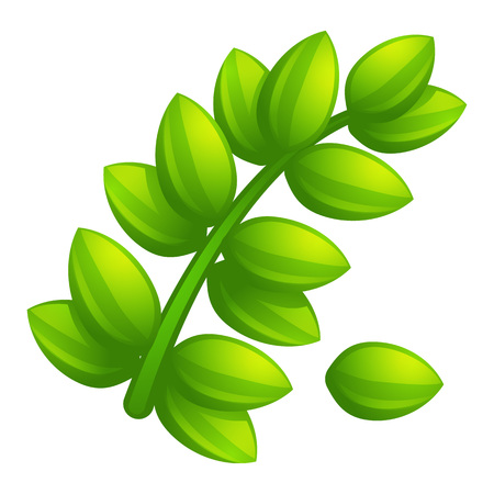 Olive leaf branch icon. Cartoon of olive leaf branch vector icon for web design isolated on white backgroundのイラスト素材