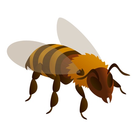 Bee icon. Isometric of bee vector icon for web design isolated on white backgroundのイラスト素材