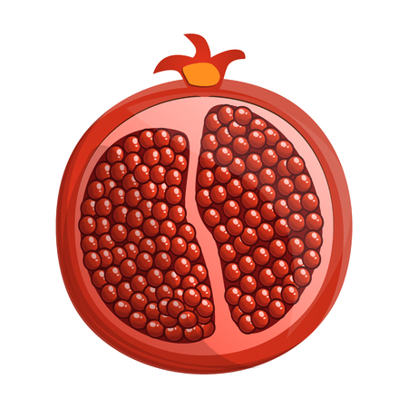 Half of pomegranate icon. Cartoon of half of pomegranate vector icon for web design isolated on white backgroundのイラスト素材