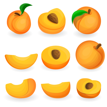 Peach icon set. Cartoon set of peach vector icons for web designのイラスト素材