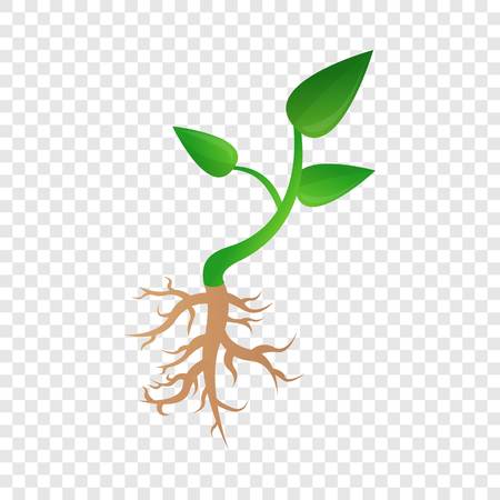 Small plant soybean icon. Cartoon of small plant soybean vector icon for web design for web designのイラスト素材