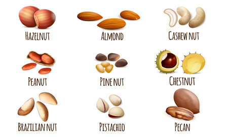 Nut icons set. Realistic set of nut vector icons for web design isolated on white backgroundのイラスト素材