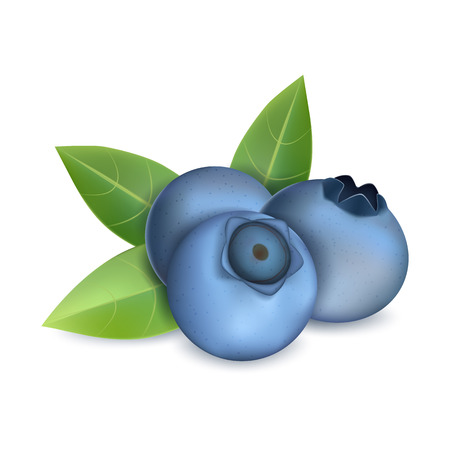 Blueberry heap icon. Realistic illustration of blueberry heap vector icon for web design isolated on white backgroundのイラスト素材