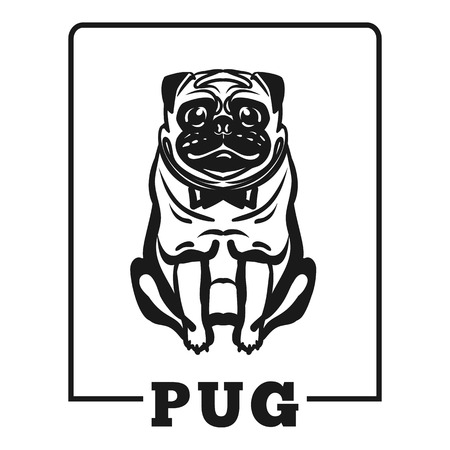 Seated pug icon. Simple illustration of seated pug vector icon for web design isolated on white backgroundのイラスト素材