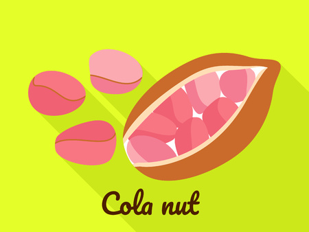 Cola nut icon. Flat illustration of cola nut vector icon for web designのイラスト素材