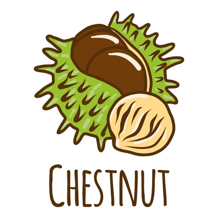 Chestnut icon. Hand drawn illustration of chestnut vector icon for web designのイラスト素材