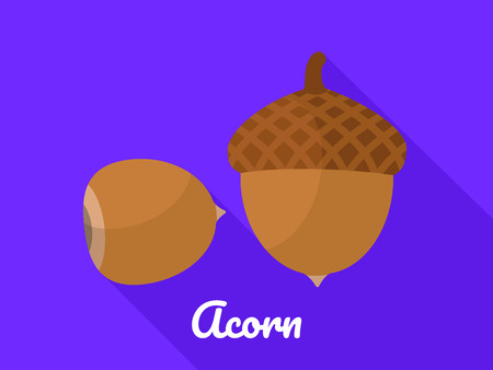 Acorn icon. Flat illustration of acorn vector icon for web designのイラスト素材