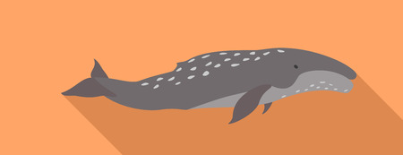 Humpback whale icon. Flat illustration of humpback whale vector icon for web designのイラスト素材