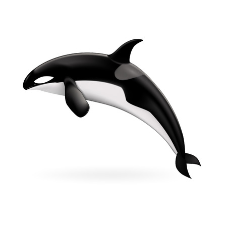Orca Whale Icon Realistic Illustration Of Orca Whale Vector Icon For Web Design Isolated On White Backgroundのイラスト素材 イメージマート