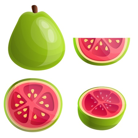 Guava icons set. Cartoon set of guava vector icons for web designのイラスト素材