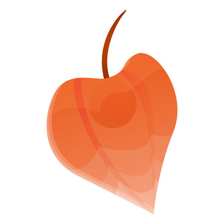 Chinese physalis icon. Cartoon of chinese physalis vector icon for web design isolated on white backgroundのイラスト素材