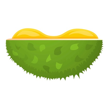 Fresh half durian icon. Cartoon of fresh half durian vector icon for web design isolated on white...