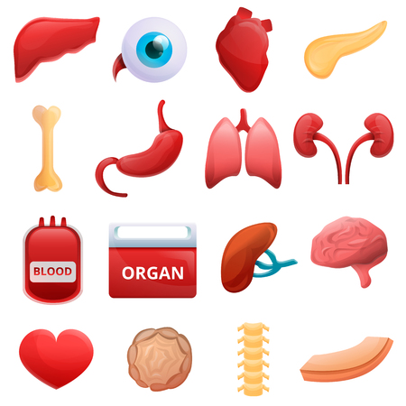Donate organs icons set. Cartoon set of donate organs vector icons for web designのイラスト素材