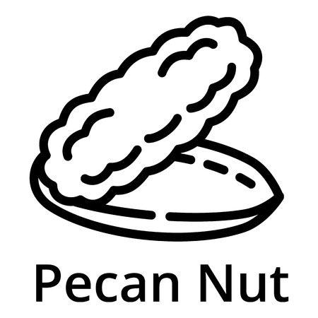 Pecan nut icon. Outline pecan nut vector icon for web design isolated on white backgroundのイラスト素材