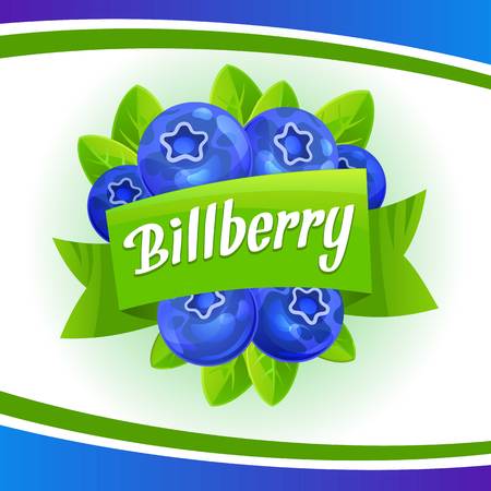 Eco bilberry concept background. Cartoon illustration of eco bilberry vector concept background for web designのイラスト素材