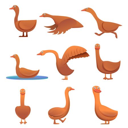 ガチョウの写真素材 イラスト素材 ストックフォトのamanaimages Plus