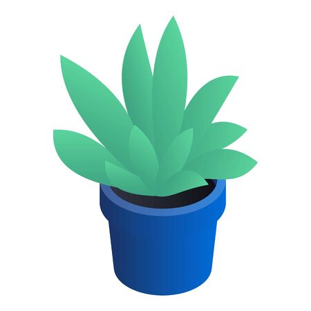 Succulent pot icon. Isometric of succulent pot icon for web design isolated on white backgroundの写真素材
