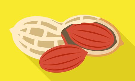 Peanut shell icon. Flat illustration of peanut shell vector icon for web designのイラスト素材