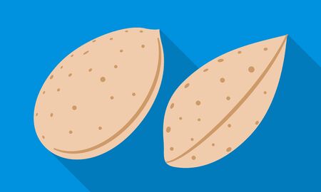 Almond nut icon. Flat illustration of almond nut vector icon for web designのイラスト素材