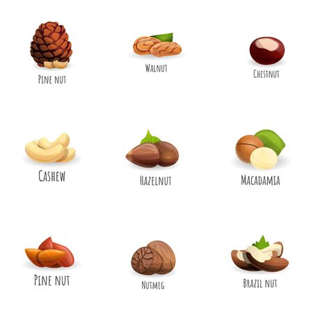 Nuts icon set. Cartoon set of 9 nuts vector icons for web design isolated on white backgroundのイラスト素材