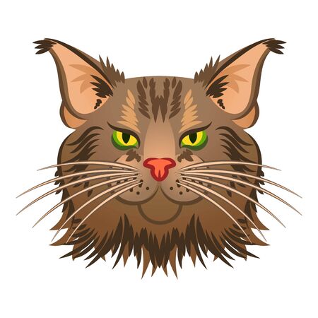 Head maine coon icon. Cartoon of head maine coon vector icon for web design isolated on white backgroundのイラスト素材