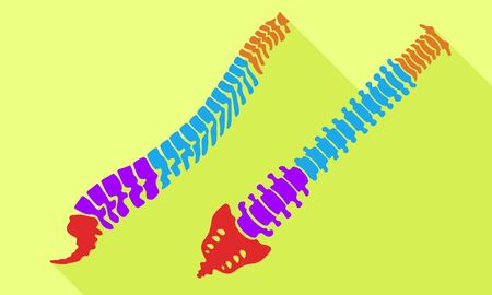 Spine color section icon. Flat illustration of spine color section vector icon for web designのイラスト素材