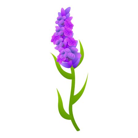 Lavender icon. Cartoon of lavender vector icon for web design isolated on white backgroundのイラスト素材