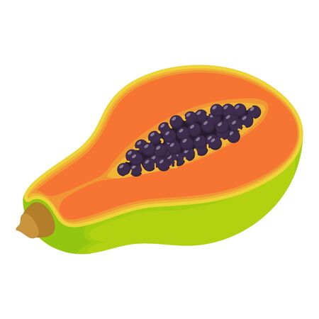 Pawpaw fruit icon. Isometric of pawpaw fruit vector icon for web design isolated on white backgroundのイラスト素材