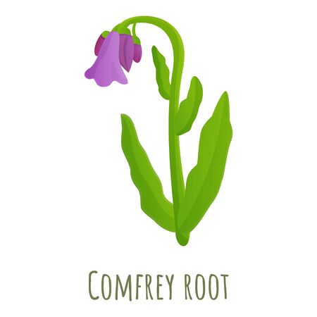 Comfrey root icon. Cartoon of comfrey root vector icon for web design isolated on white backgroundのイラスト素材