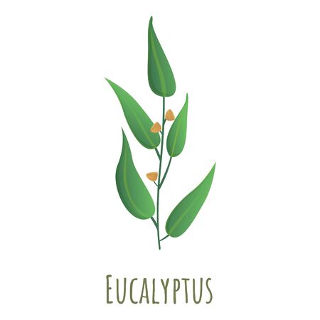 Eucalyptus plant icon. Cartoon of eucalyptus plant vector icon for web design isolated on white backgroundのイラスト素材