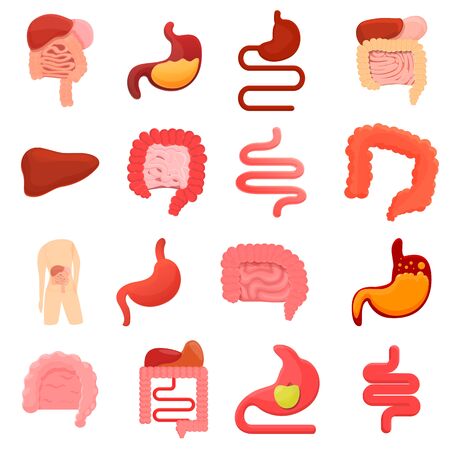 Digestion icons set. Cartoon set of digestion vector icons for web designのイラスト素材