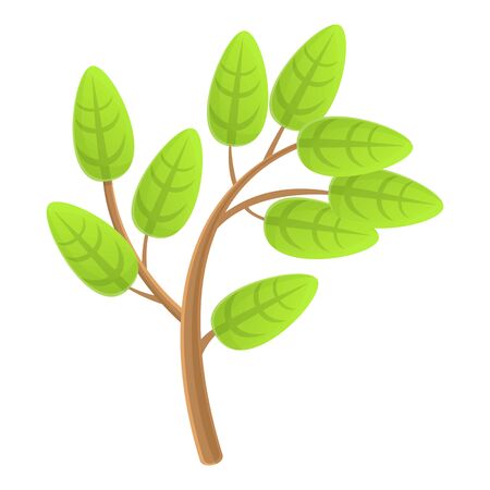 Eco tree branch icon. Cartoon of eco tree branch vector icon for web design isolated on white backgroundのイラスト素材