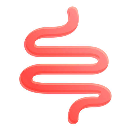Small intestine icon. Cartoon of small intestine vector icon for web design isolated on white backgroundのイラスト素材