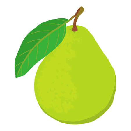 Whole fresh guava icon. Isometric of whole fresh guava vector icon for web design isolated on white backgroundのイラスト素材