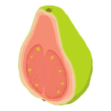 Tropical guava icon. Isometric of tropical guava vector icon for web design isolated on white backgroundのイラスト素材