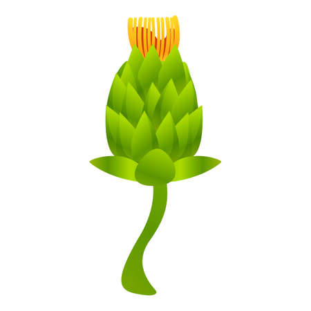 Ireland beer hop icon. Cartoon of Ireland beer hop vector icon for web design isolated on white backgroundのイラスト素材
