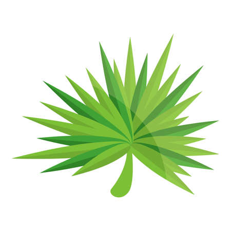 Summer party tropical leaf icon. Cartoon of summer party tropical leaf vector icon for web design isolated on white backgroundのイラスト素材