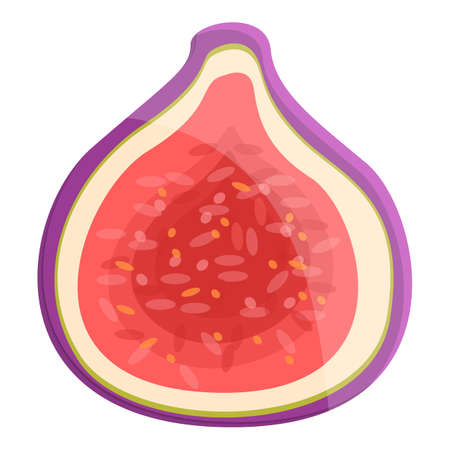Tasty fig icon, cartoon styleのイラスト素材