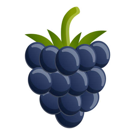 Forest blackberry icon, cartoon style