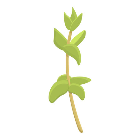 Healthy thyme icon, cartoon styleのイラスト素材