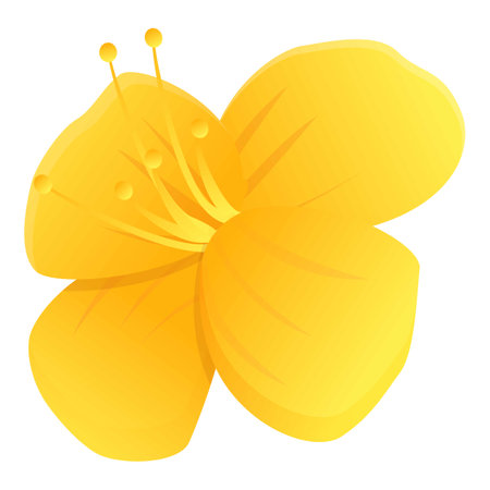 Celandine wild flower icon, cartoon styleのイラスト素材